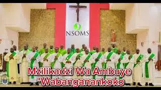 Catholic song | Mzilikadzi Wa Ambuye  - 