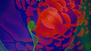 RUGG - Mulberry St. Live (Official Visualizer)