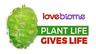 LoveBiome: Жизнь Растений Даёт Жизнь - Откройте Силу Здоровья Микробиома