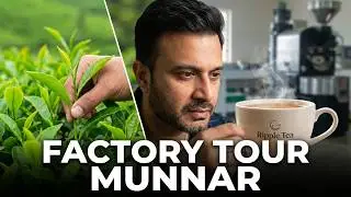 Tea Factory Munnar | Tata Tea Museum | Ripple Tea