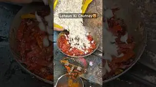 Rajasthani Lehsun Ki Chutney Making In Jaipur😻 | Indian Street Food #shorts