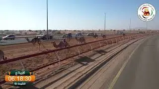 ميــدان الذيد - ش 12 الإيذاع 19/01/2026 بيه لـ عبدالله عجيل محمد بالصوب الكتبي.  التوقيت: 9:39:22
