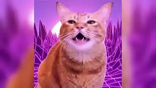 Kiwaid - China Cat