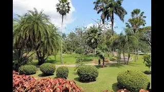 Queen's Park Savannah (QPS) - Botanical Gardens walking tour (Port of Spain, Trinidad and Tobago)