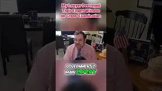 My Lawyer Destroyed Their Expert Witness on Cross Examination