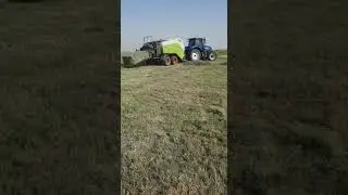 channel is all about best service and production of best quality Rhodes grass