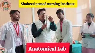 Study about the Red bone marrow | Blood formation in adult | parts of long bones | Red bone marrow 