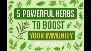 5 Powerful Herbs To Boost Your Immunity Naturally