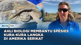 Ahli Biologi Membantu Spesies Kura-Kura Langka di Amerika Serikat