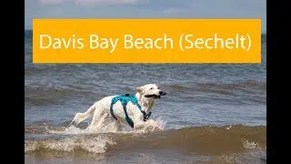 Davis Bay Sechelt, Sunshine Coast BC | Sandcastle Competiton