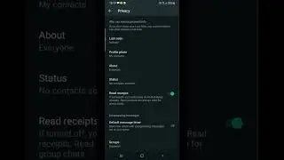 How To Appear Offline on Whatsapp Completely (2022)