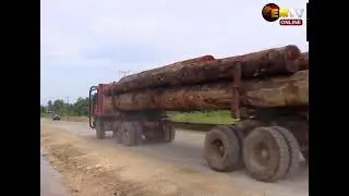 ILLEGAL LOGGING ISSUE
