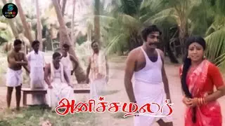 சரியான பழிக்கு பழி இதுதான்! | Anicha Malar | Raja Bahadoor | Suruli Rajan | Manorama | SPE Movies