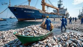 The Terrifying Process of Tuna Fishing on a Modern Boat, Dragging Nets Across the Ocean.