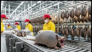 Inside the Armadillo-Shell Factory: From Armor Plates to Luxury Goods (Full Process)
