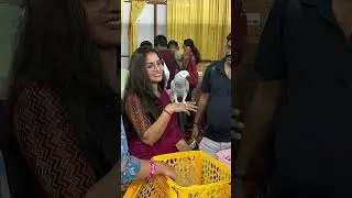 Spl guest Ammu Ramanchandran mam #trending #cat #shortvideos #shots #viralvideo #actor #reels #reel