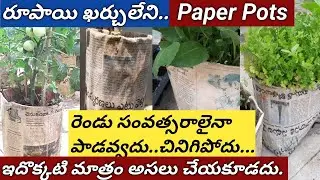 రూపాయి ఖర్చులేని పేపర్ పాట్ తయారీ విధానం/super స్ట్రాంగ్ గా ఉంటుంది/how to make paperpots #paperpots