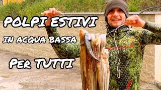 Pescasub | Polpi estivi