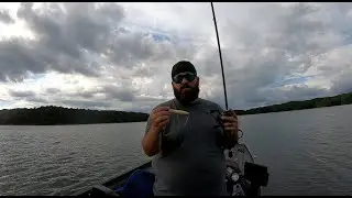 Lake Allatoona Topwater - Evergreen SB105