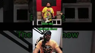 Blink-182 - The Rock Show (Cover By Boxead)