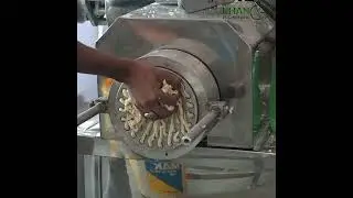 khan engineering and food processing pasta machine