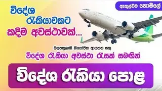 ඔබත් රැකියාවක් සදහා විදේශ ගතවීමේ බලාපොරොත්තුවෙන් සිටින්නෙක් ද/ මෙන්න ඔබට අනගි අවස්තාවක්