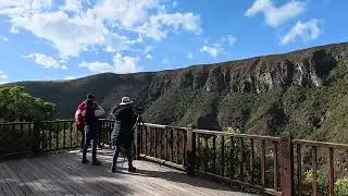 Cóndor Andino, (Vultur gryphus), Andean Condor. Llegando a dormir