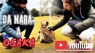 Da Nara a Osaka: cervi sacri, street food e Universal Studios Japan🇯🇵