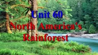 North America's Rainforest Unit 60  | Learn English via Listening Level 4
