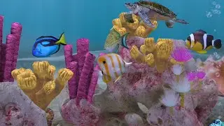 Reef #relax Coralen Salzwasser Aquarium #fishtank Heim - TV Aquarium #asmr Ambience Wasserger&auml;usche 