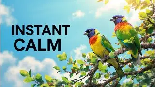 Relaxing Piano Music with Peaceful Birds 🕊️ Calm Nature Sounds for Sleep, Relaxation & Meditation