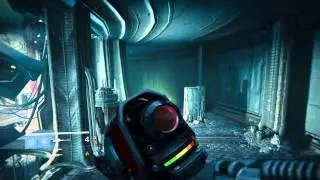 Destiny Exotic Review - Ice Breaker