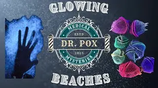 Glowing Beaches of the Maldives: The Science and Mystery of Bioluminescent Shores
