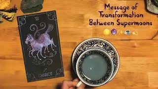 Powerful Energies between Supermoons. Myth & Lore from the Baba Yaga. Pick a card 🔮✨💫