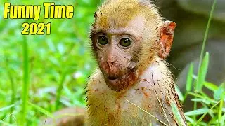 Funny Show Of Baby Elpida Of The Year 2021.