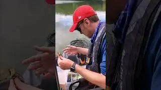 When you're getting skunked...