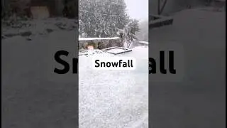 Snowfall ❄️