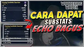 STOP BUANG EXP! Cara Dapatkan Substats Echo Sempurna Tanpa Buang Resource - Wuthering Waves