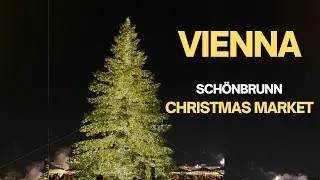 Vienna Christmas Market at Schönbrunn Palace | Cozy Winter Travel