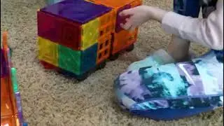 Peanut the turtle goes to jail
