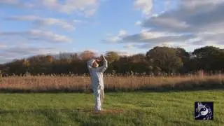 Five Elements Qigong with David Chandler