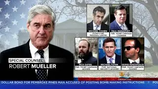 2018 A Year To Remember: Politics