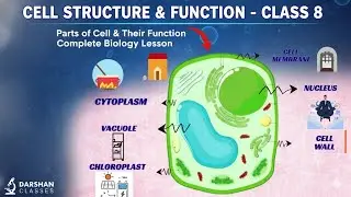 Cell structure and function class 8 | parts of cell and their function | parts of cell class 8