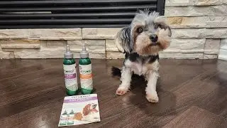 How to Clean Your Dog's Ears with Vet's Best Dog Ear Cleaner Kit