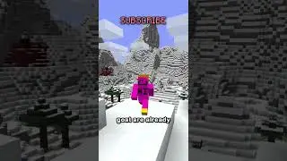 the rarest item in minecraft... (ive never said this before)