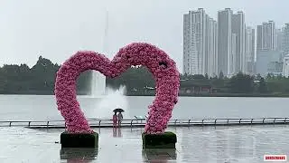 [4K-20M] SEOUL, HEAVY RAIN IN ILSAN PARK, KOREA Romantic View & Natural Sound / ASMR Ambiance, Love.