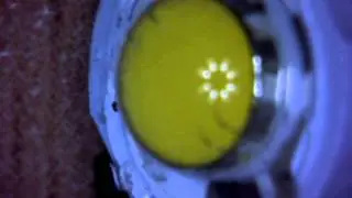 Clip0010