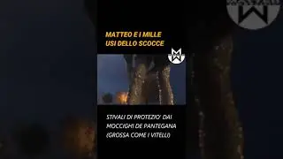 DIVERSAMENTE USO DELLO SCOCCE MONTESI
