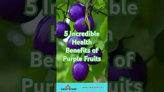 5 Incredible Health Benefits of Purple Fruits | #carecrash