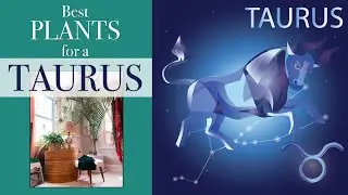 Best PLANTS for a TAURUS